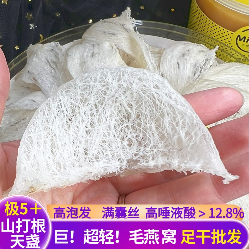 5＋极轻毛燕窝盏超轻山打根金丝燕足干超轻毛燕窝盏马来西亚原始