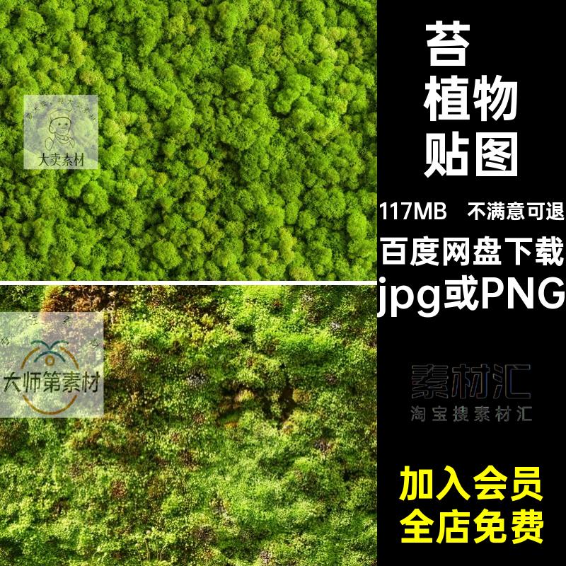绿植墙面贴图苔藓植物苔鲜禅意地被贴图jpg或PNGps微大SU景观纹理