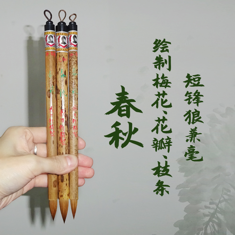 春秋 大中小号 戴月轩绘制梅花花瓣枝条 狼毫毛笔兼毫 短粗笔 绘画用笔用品 国画花卉水墨画 湖笔绘画笔