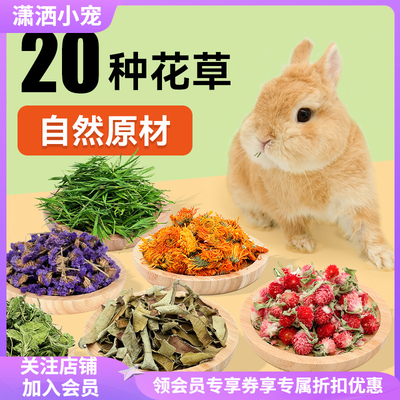 兔子零食保健花草助消化肠胃薄荷蒲公英金盏菊洋甘菊牧草龙猫豚鼠