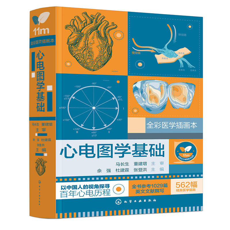 心电图学基础 心电图形成基本原理 标准心电图术语 标准心电图测量 心脏应用解剖 心脏电生理基础 心血管心电学专业临床医师参考书