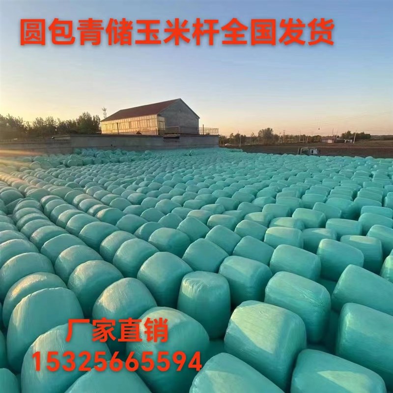 青储玉米秸秆牛羊专用饲料草喂牛草料喂羊的草羊吃的草料牛羊干草