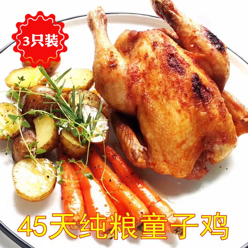 3只装小春鸡小乳鸡童子鸡45天纯素养肉质鲜香嫩滑煲鸡汤炖煮香烤