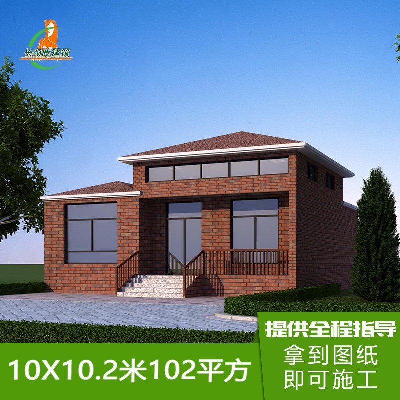 开间进深10米98m平一层小别墅设计图纸新农村盖房子平面布局效果