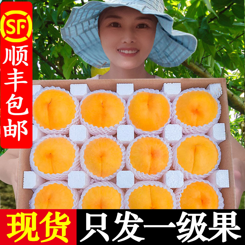 黄桃新鲜水果山东蒙阴黄金蜜桃炎陵锦绣当季时令黄毛桃整箱大桃子