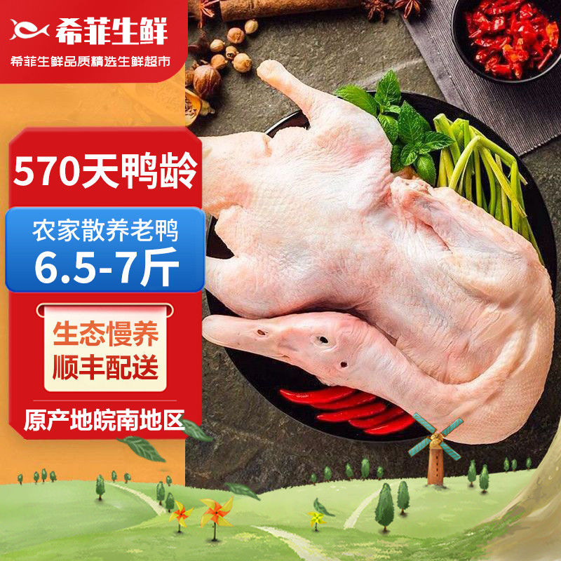 希菲生鲜 农家散养老鸭皖南农家散养土鸭老鸭子整只红烧煲汤食材