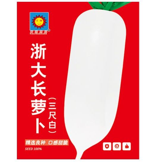 白萝卜种子甜脆三尺象牙白罗卜种籽耐寒耐湿秋播农家菜园蔬菜种孑