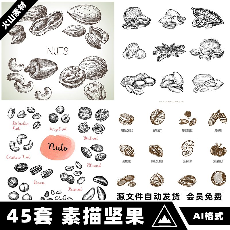 复古手绘素描坚果花生瓜子核桃开心果腰果线稿插画矢量AI设计素材