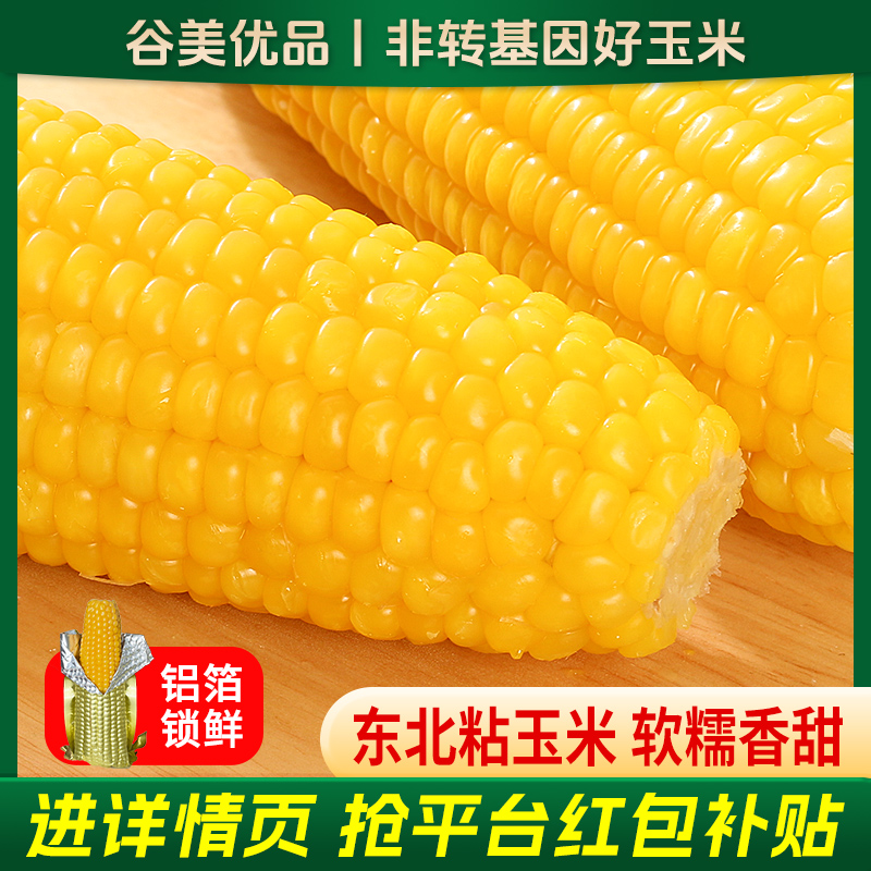 东北香甜黄糯玉米新鲜现摘真空装加热即食黏糯玉米棒无糖精铝箔装