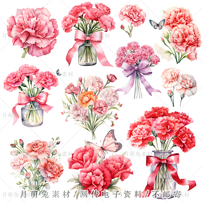 手绘水彩粉色康乃馨花卉花束插画海报装饰剪贴画手账png设计素材