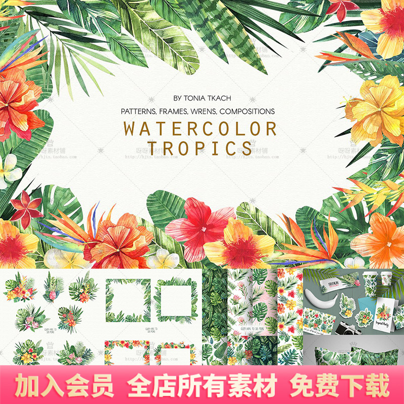 手绘水彩热带花卉叶子组合花束花环边框背景PNG免抠装饰设计素材
