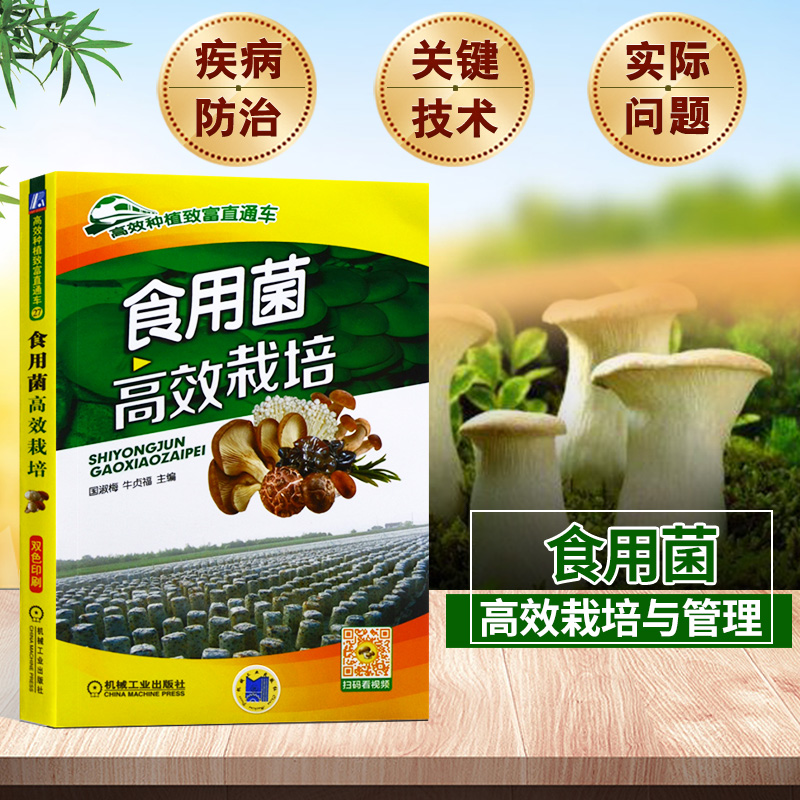 食用菌高效栽培平菇香菇菌类种植技术蘑菇种植技术种菜书籍大全大棚蔬菜种植技术农业种植技术大全书羊肚菌种植技术种植书籍大全