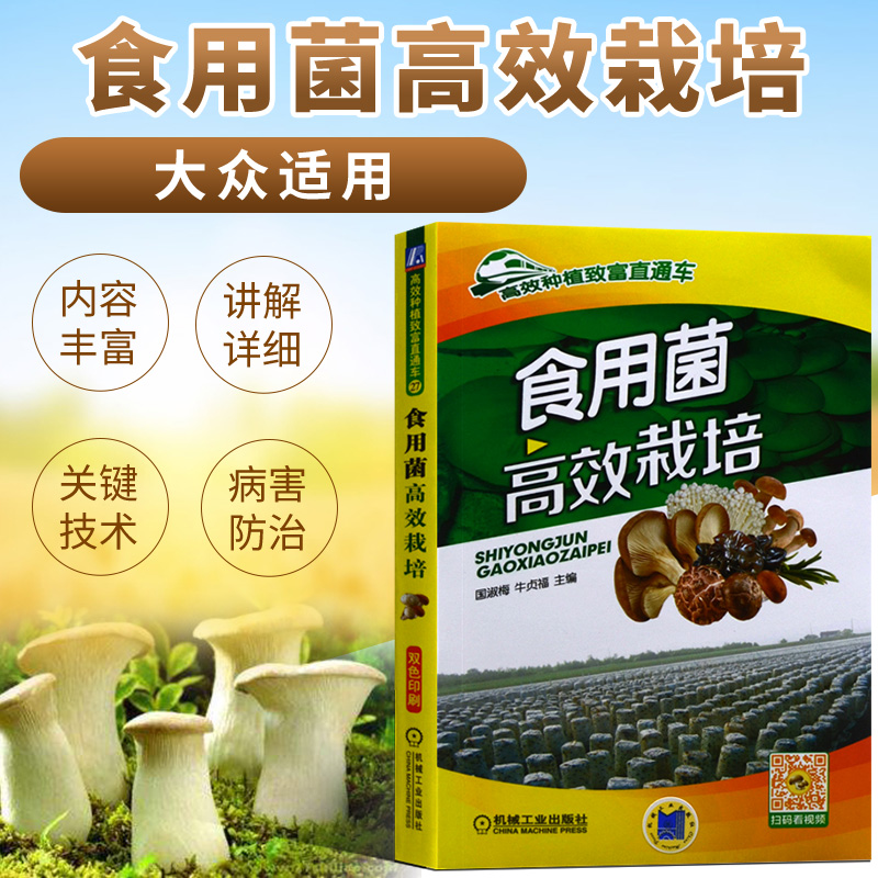 食用菌高效栽培平菇香菇菌类种植技术蘑菇种植技术种菜书籍大全大棚蔬菜种植技术农业种植技术大全书羊肚菌种植技术种植书籍大全
