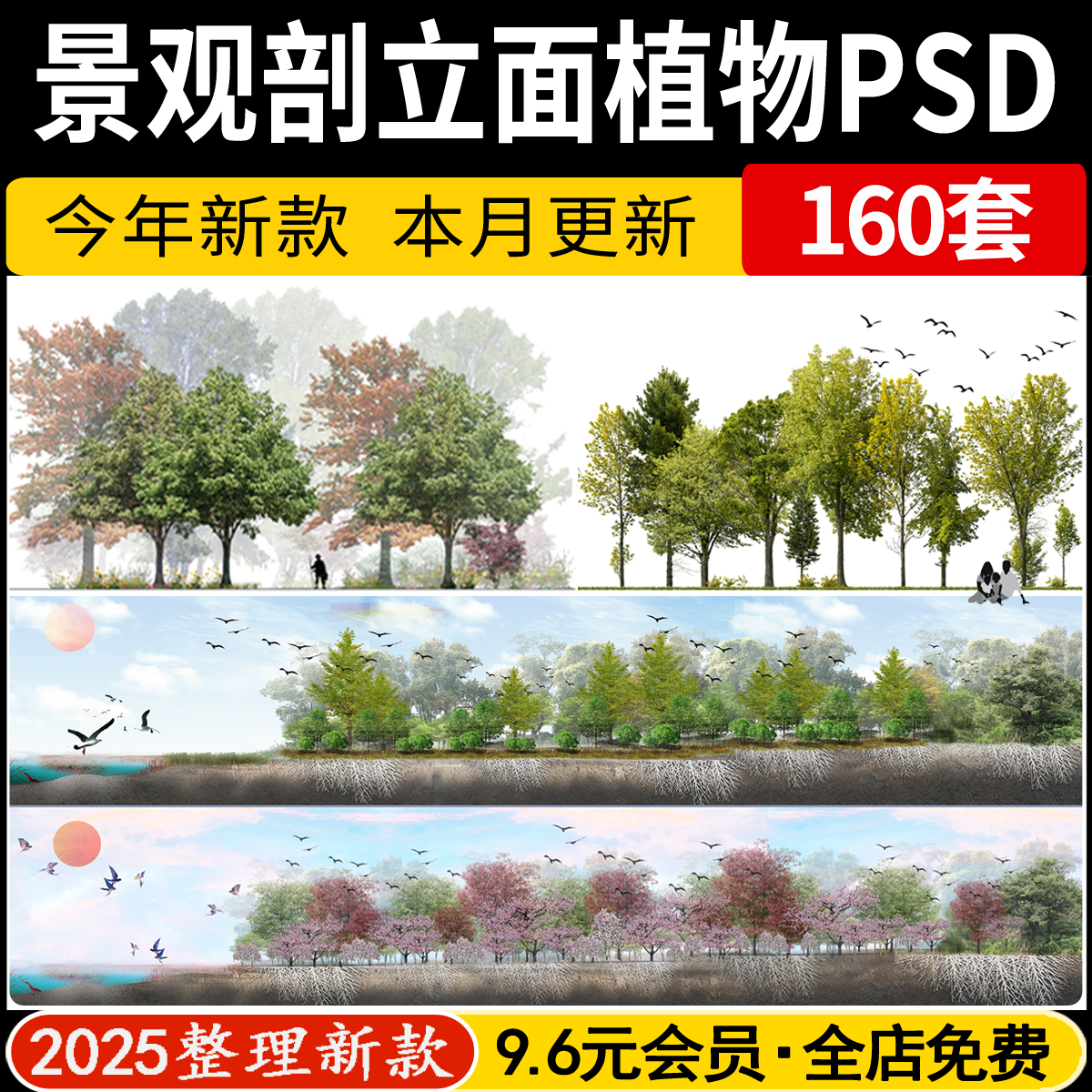 园林景观剖面图立面图竞赛风滨水植物道路横断面图 ps素材psd源件