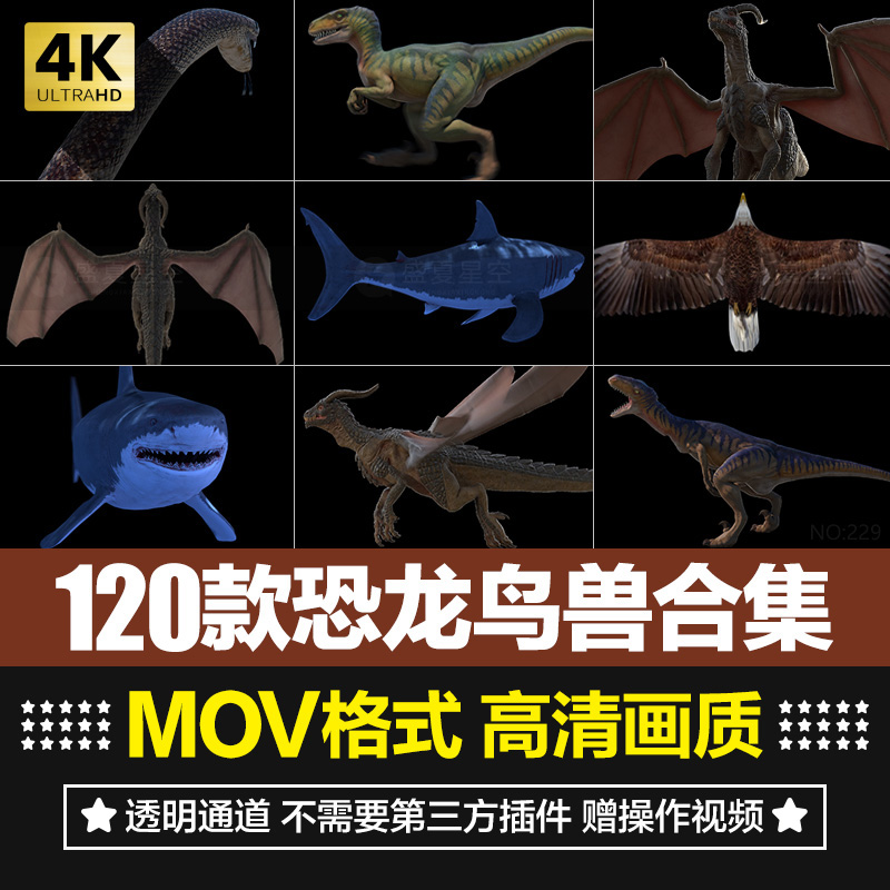 恐龙鲨鱼远古巨龙飞龙蟒蛇老鹰鱼鸟群蝴蝶虫群AE合成特效视频素材