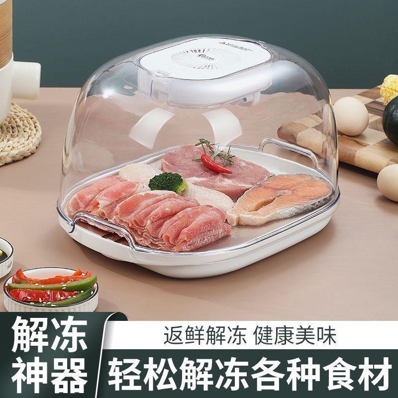解冻神器家用德国进口恒温多功能智能解冻机器厨房冻鱼冻肉保鲜解