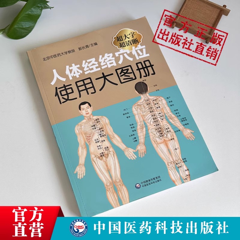 超清正版人体经络穴位使用大图册图解人体经络穴位标准大图人体穴位经络一找就准全身穴位中医按摩经络穴位按摩养生大全理疗按摩书