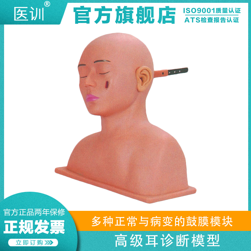 医训 YX/LV41 高级耳诊断模型耳内检查标准体位模型正常病变的鼓膜模块