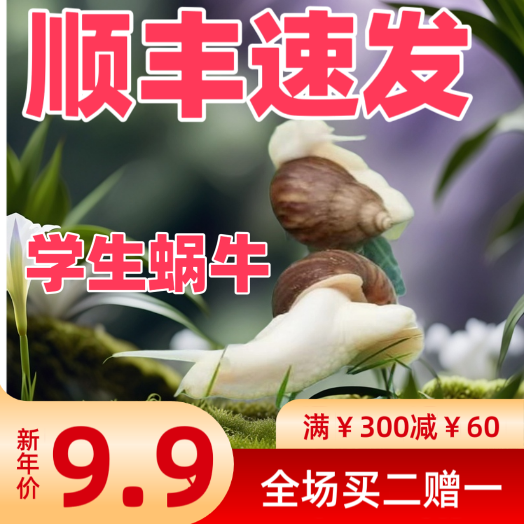 学生饲养蜗牛活体宠物白玉蜗牛大蜗牛观赏科学实验教学小蜗牛顺丰