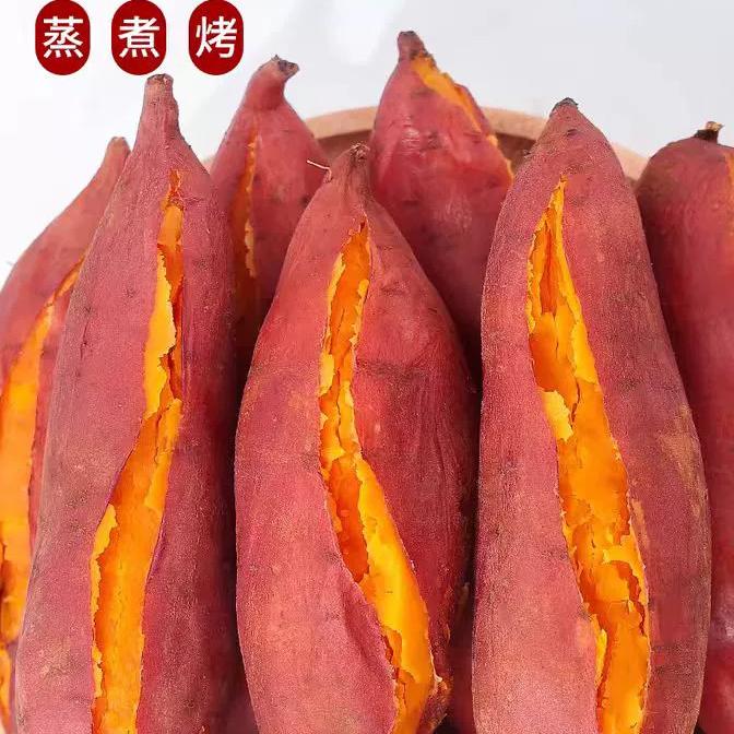 农家自种西瓜红蜜薯沙地现挖糖心红薯粉糯小香薯新鲜地瓜