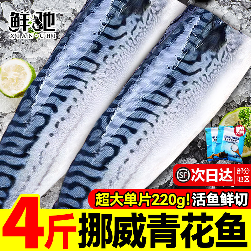 挪威进口青花鱼片鲭鱼新鲜冷冻大号鲐鲅鱼日式盐渍青占鱼烧烤商用