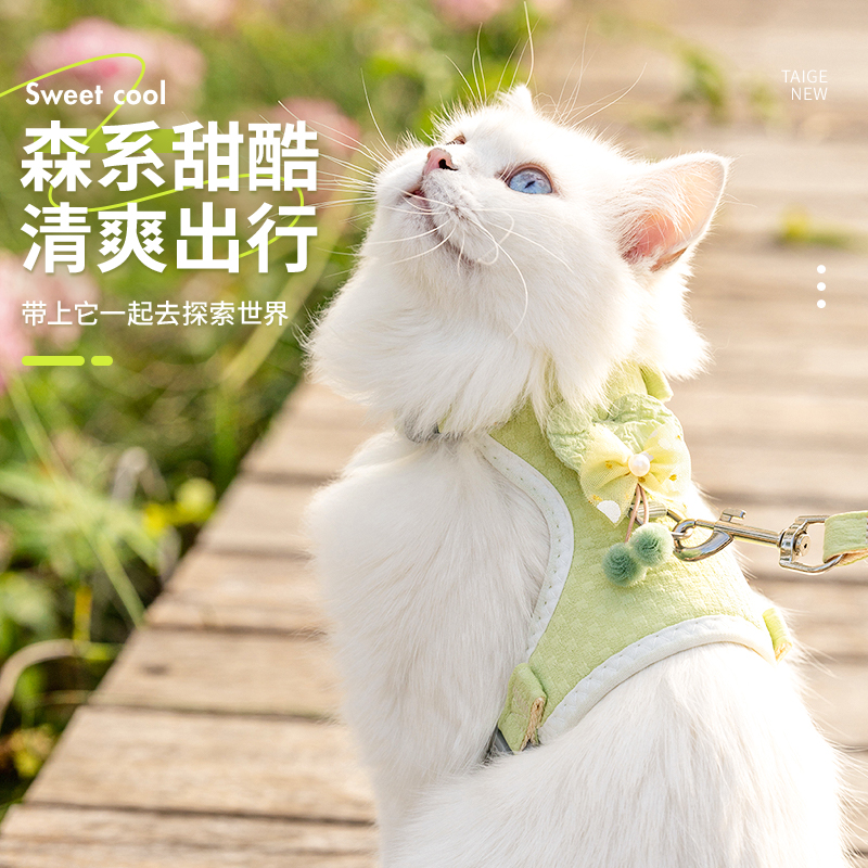 小猫牵引绳猫咪专用防挣脱两个月幼猫绳子布偶猫小奶猫桃心高颜值