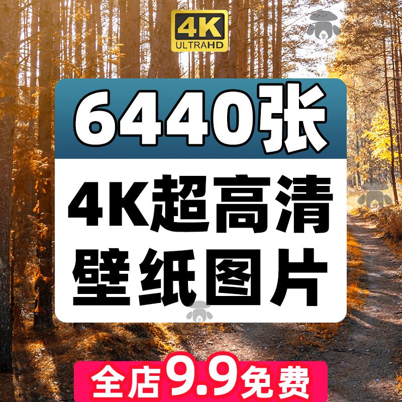 4k超高清电脑桌面壁纸手机背景图卡通动漫带鱼屏保风景图片素材8K