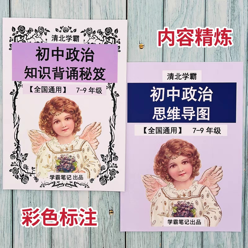 初中中考初一二三道法政治知识背诵秘笈思维导图新版提分新版