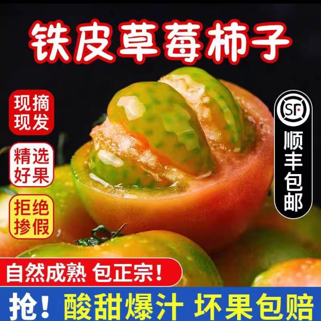山东铁皮草莓柿子新鲜水果碱地油柿子番茄灯笼果西红柿绿腚柿顺丰