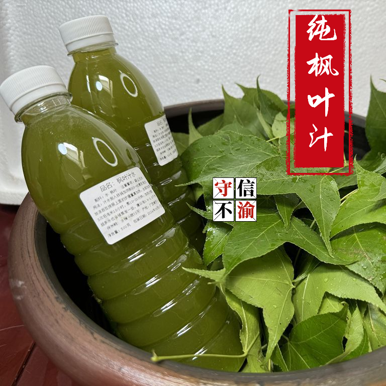 新鲜枫叶汁广西黑米饭植物染料枫树叶子香枫叶榨汁现发乌米饭汁