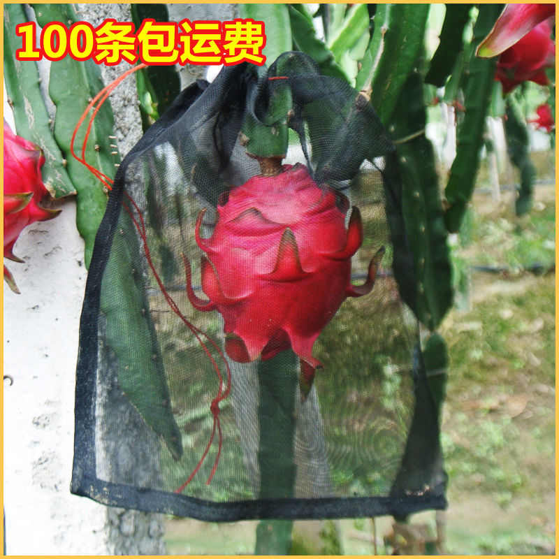 水果套袋防虫防鸟尼龙专用网防果蝇网袋黑色火龙果专用套规格果袋