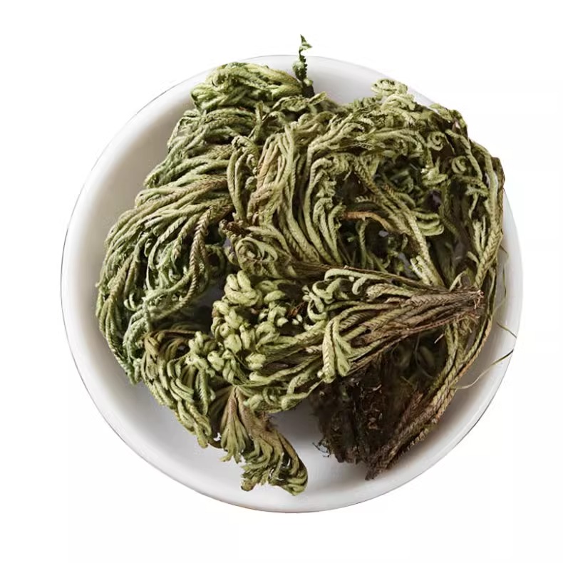 小卷柏中药材干货正品卷伯植物九死还魂草卷伯草还阳草九长生草