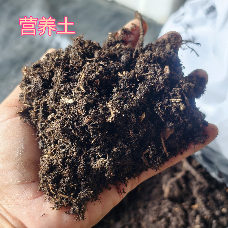 泥土纯塘泥营养土松动透气花草树木果树种植土