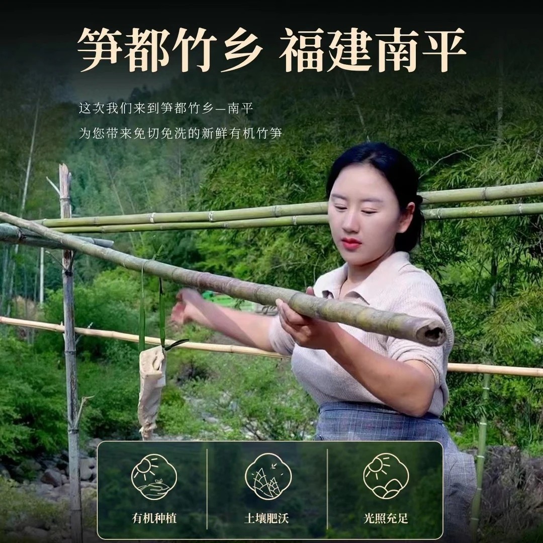乡愁沈丹有机水煮笋干新鲜免切免泡脆笋农家清炒凉拌下饭春笋竹笋