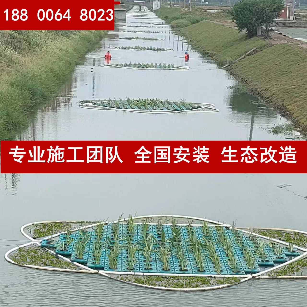 生态浮岛生物人工浮床水上植物种植人工浮岛河道改善水质绿化景观