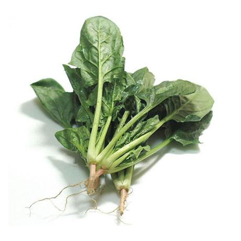 "Четыре сезона" шпинат "четыре сезона" шпинат ", "шпинат", "шпинат", "шпинат", "шпинат", "семечки шпината", домашняя веранда, семечко из овощей"