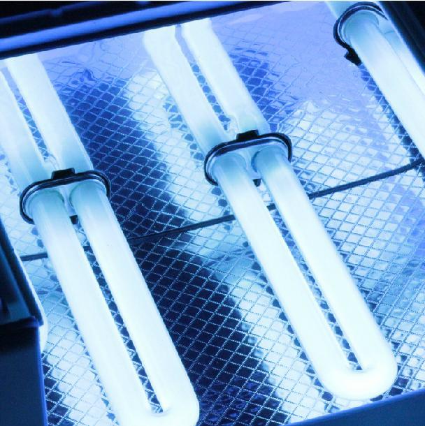 360截图20130714101746343