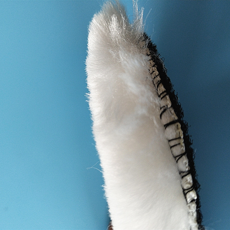 IMG_20190925_154952_副本