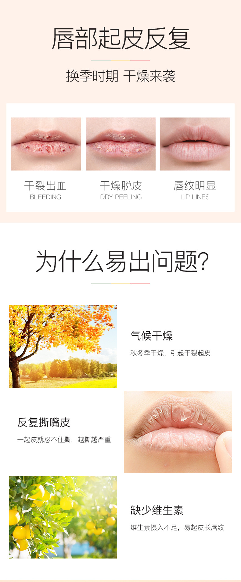 润唇最新版详情_02