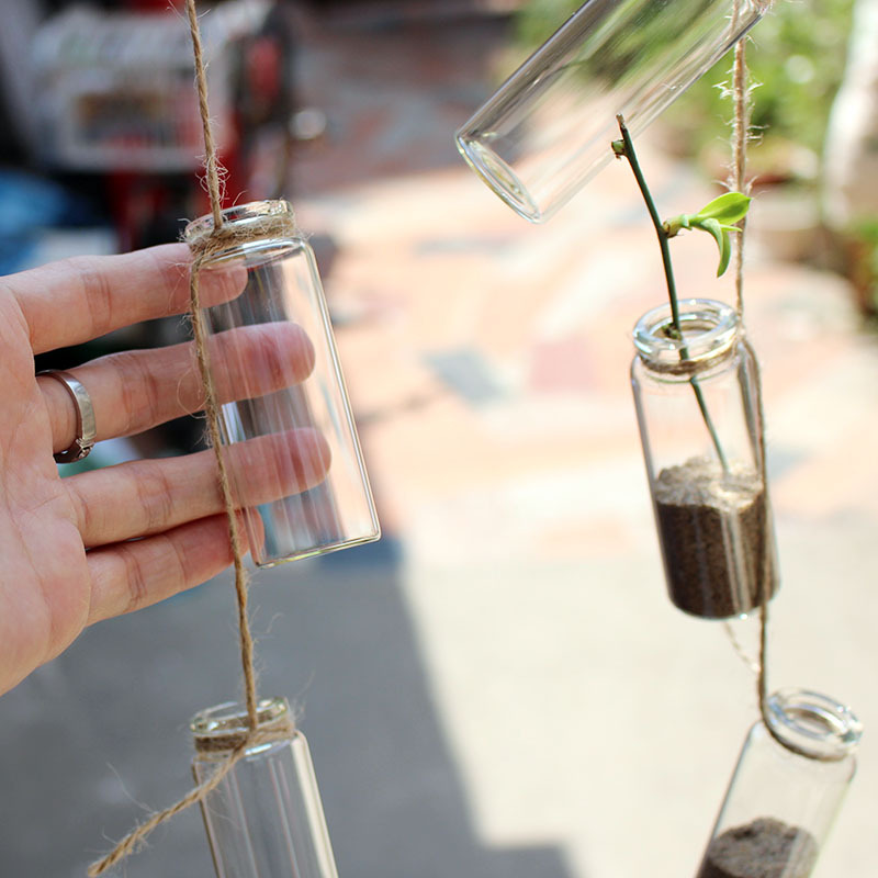 ins风小小吊瓶透明玻璃瓶子小号种多肉花瓶迷你悬挂水养植物花器