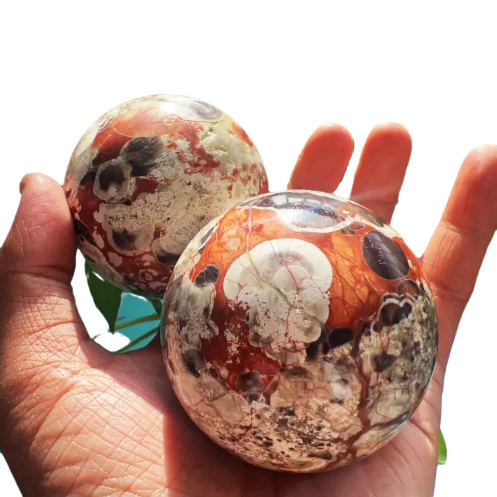 Feathered Orb — Natural Feather Fluorite Crystal Sphere