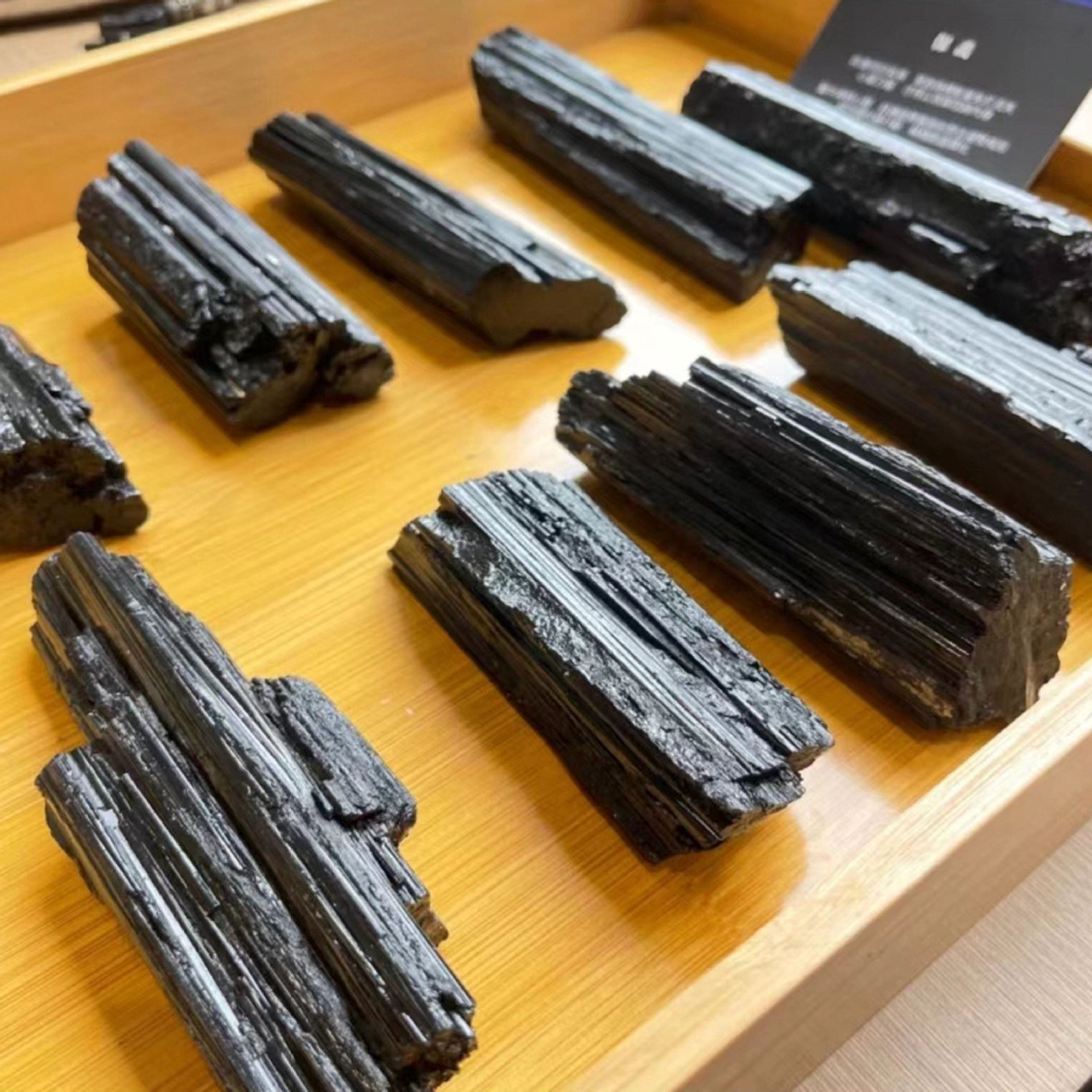 Obsidian Shield — Natural Black Tourmaline Raw Crystal Specimen