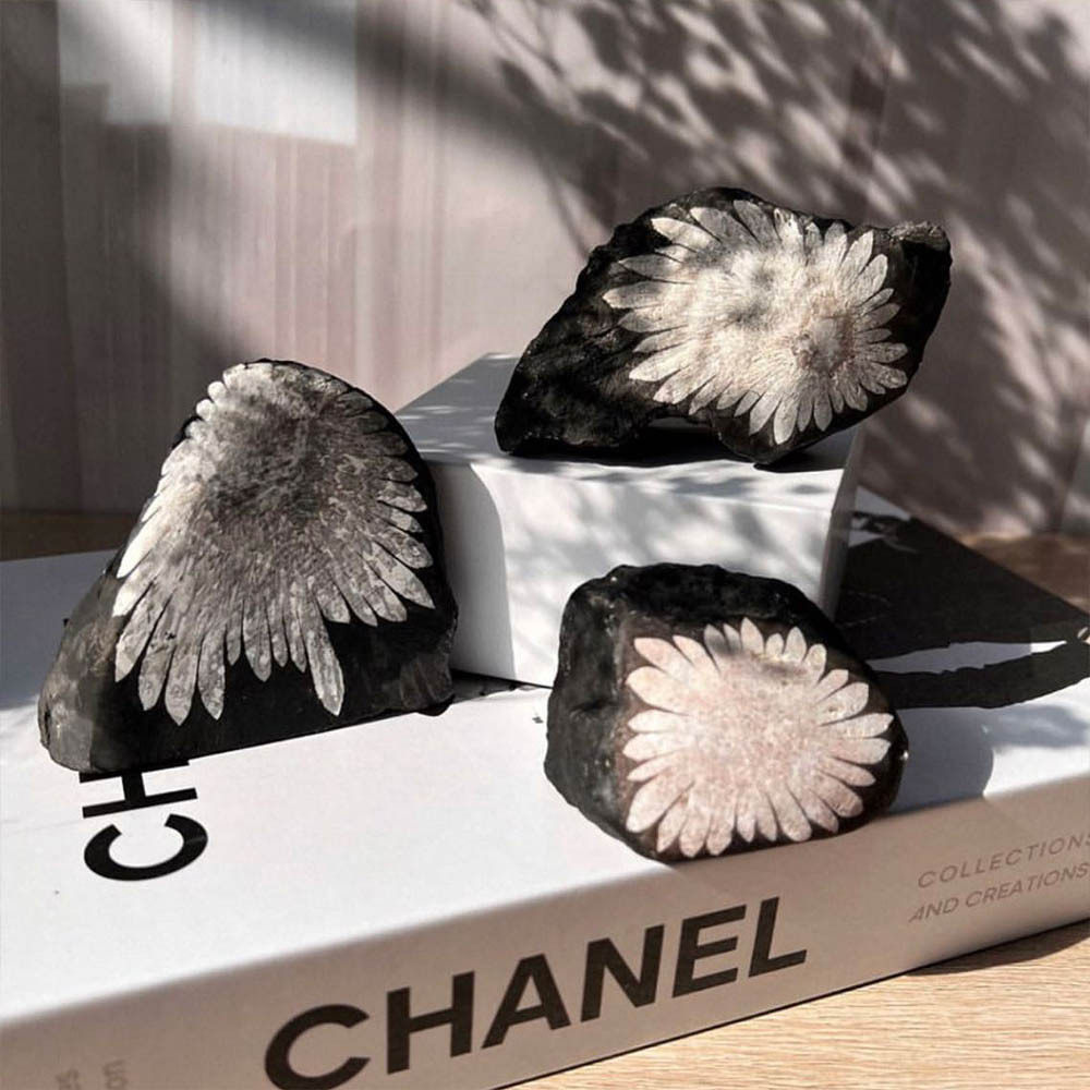 Shadow Guardian — Obsidian Crystal Sphere