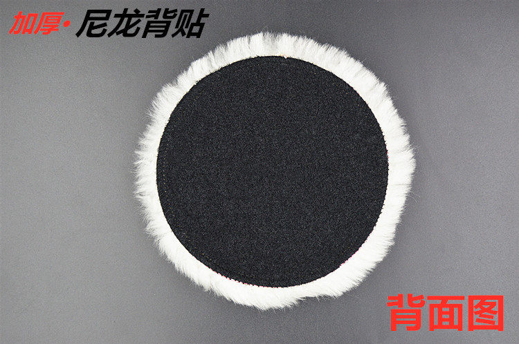 10769687608_513663114