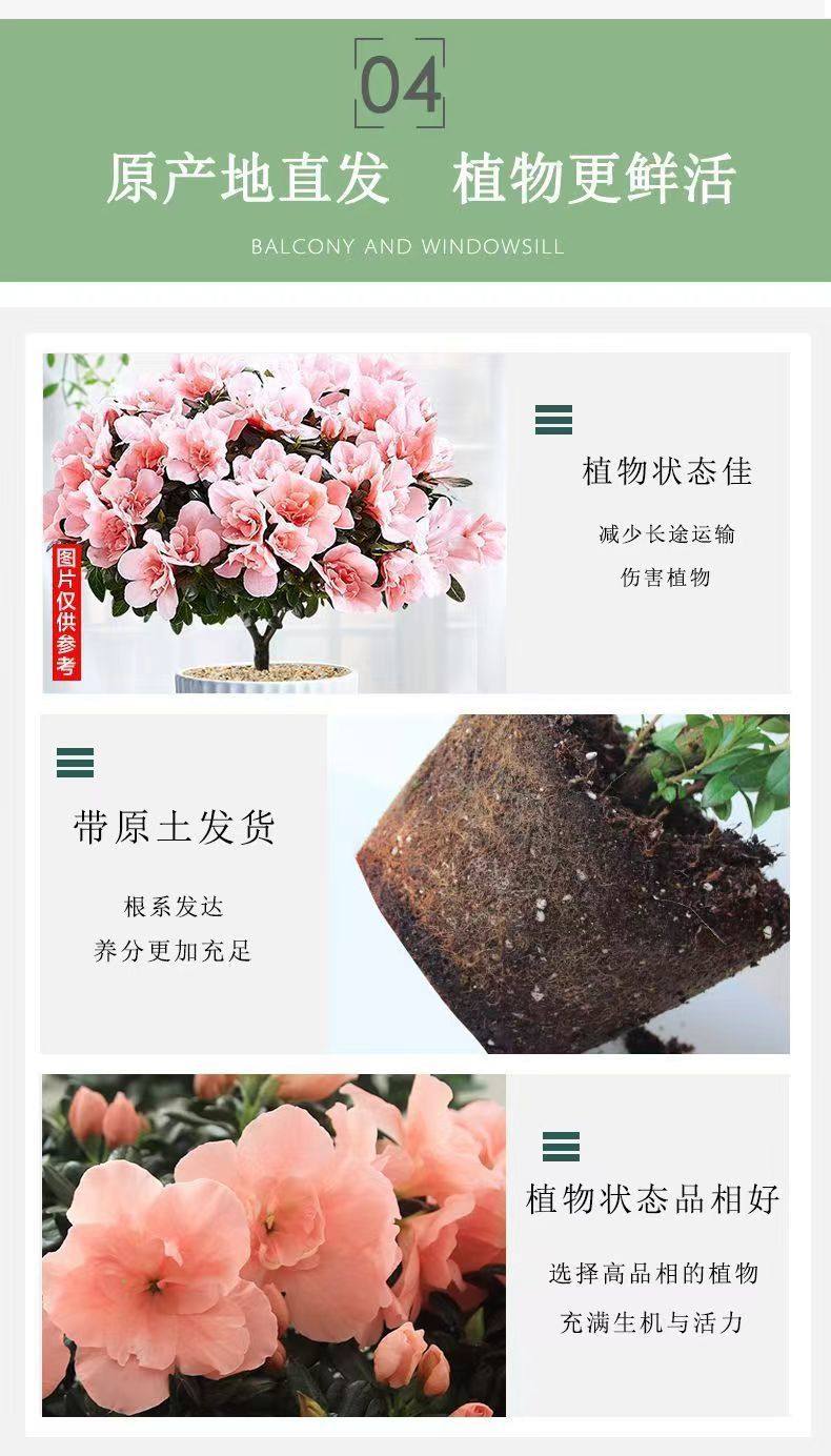 aee1a311-3f11-4b70-8cd5-8b67d82ef9e7.jpe