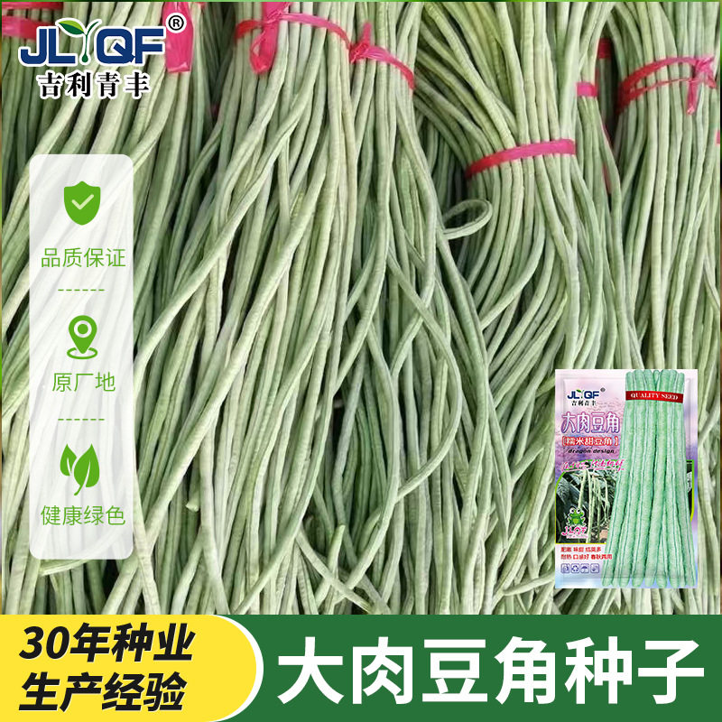 大肉糯米甜豆角种子抗热高产春夏秋播长豆角种子易种盆栽蔬菜种子