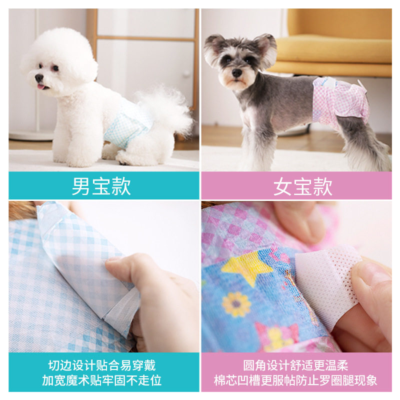 新款尿显宠物纸尿裤公狗尿不湿小狗生理裤母狗卫生巾安全内裤批发