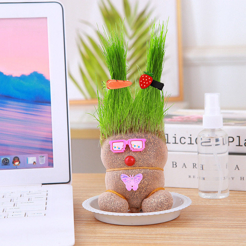 长草娃娃小盆栽草头娃娃好养桌面绿植礼物水培儿童种植易活小植物