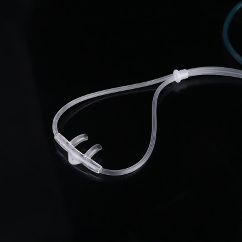 12663644593_431964400