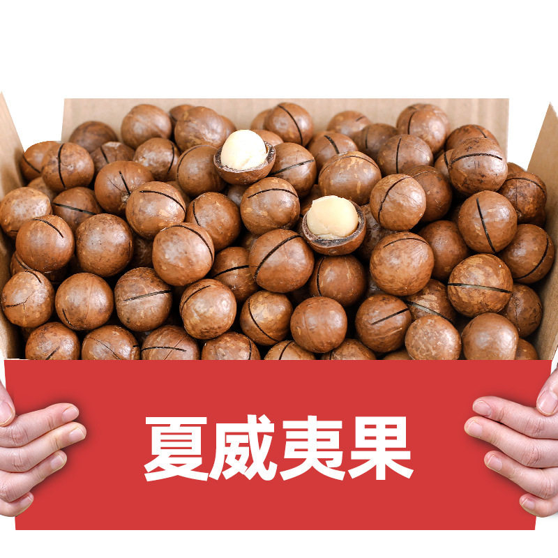 休闲大礼包零食每日坚果干果年货开心果夏威夷果炒货批发